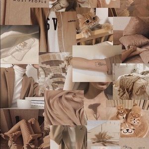 Meet your Posher, Lexi